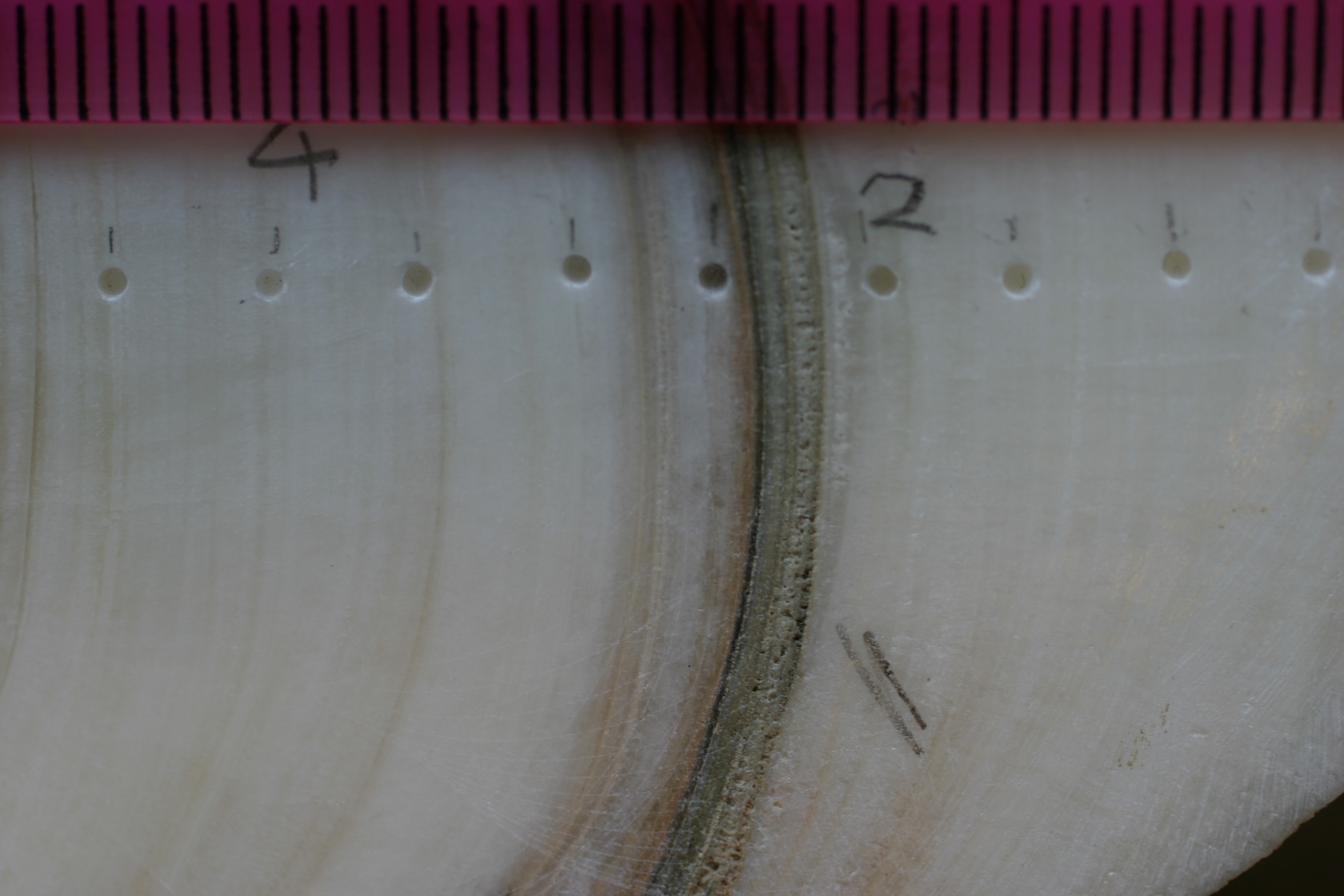 Speleothem Laminae Counting and Growth Rates
